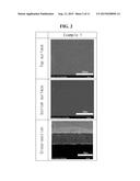 ORGANIC-INORGANIC COMPOSITE ANION EXCHANGE MEMBRANE CONTAINING     POLYVINYLIDENE FLUORIDE POLYMER FOR NON-AQUEOUS REDOX FLOW BATTERY AND     METHOD FOR PREPARING THE SAME diagram and image