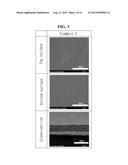 ORGANIC-INORGANIC COMPOSITE ANION EXCHANGE MEMBRANE CONTAINING     POLYVINYLIDENE FLUORIDE POLYMER FOR NON-AQUEOUS REDOX FLOW BATTERY AND     METHOD FOR PREPARING THE SAME diagram and image