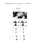 METHOD FOR ENCODING AND DECODING IMAGE INFORMATION diagram and image