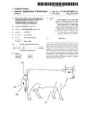 DEVICE FOR DETECTING AND INDICATING THE PREPARATORY PHASE OF BIRTHING A     BOVINE OR EQUINE ANIMAL, AND CORRESPONDING METHOD AND COMPUTER PROGRAM     PRODUCT diagram and image