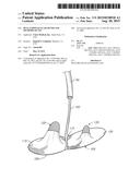 DUAL ENDOVASCULAR FILTER AND METHODS OF USE diagram and image