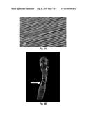 BIOMATERIAL BASED ON ALIGNED FIBERS, ARRANGED IN A GRADIENT INTERFACE,     WITH MECHANICAL REINFORCEMENT FOR TRACHEAL REGENERATION AND REPAIR diagram and image
