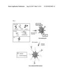 TARGETED POORLY WATER-SOLUBLE DRUG DELIVERY SYSTEM, METHOD OF PREPARING     THE SAME, AND PHARMACEUTICAL COMPOSITION INCLUDING THE SAME diagram and image