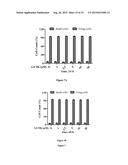 USAGE OF GUTTIFERONE K FOR TREATING HIGH METASTATIC CANCER diagram and image