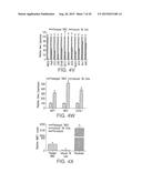 TRABECULAR MESHWORK STEM CELLS diagram and image