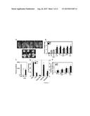 STIMULATION OF OVARIAN FOLLICLE DEVELOPMENT AND OOCYTE MATURATION diagram and image