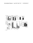 STIMULATION OF OVARIAN FOLLICLE DEVELOPMENT AND OOCYTE MATURATION diagram and image