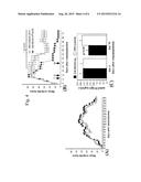 COMPOUND COMPRISING AN AUTOANTIGENIC PEPTIDE AND A CARRIER WITH A MHC     BINDING MOTIF diagram and image