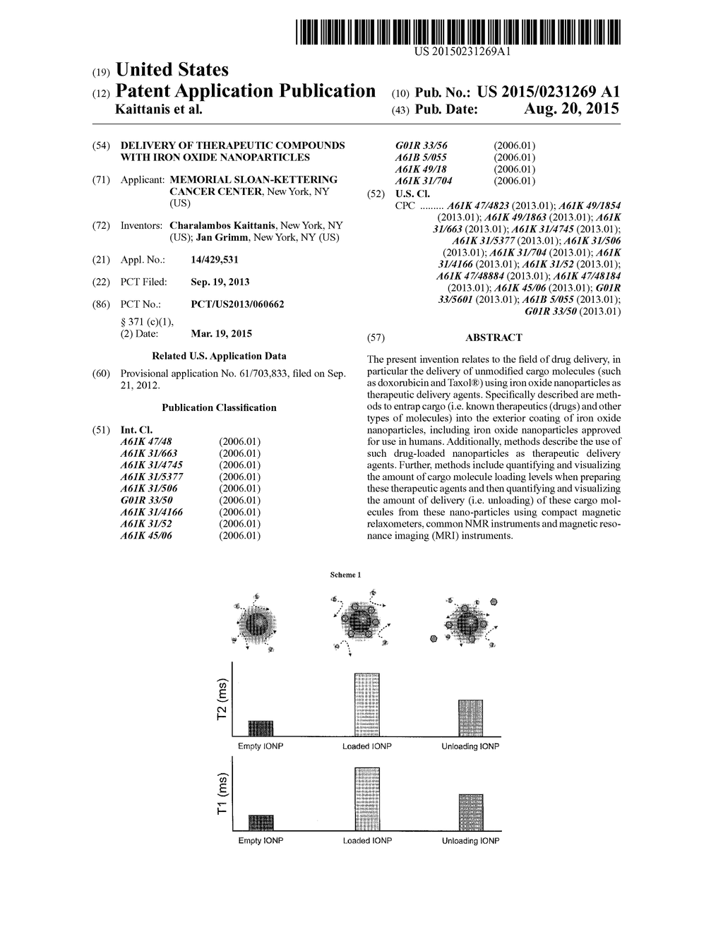 DELIVERY OF THERAPEUTIC COMPOUNDS WITH IRON OXIDE NANOPARTICLES - diagram, schematic, and image 01