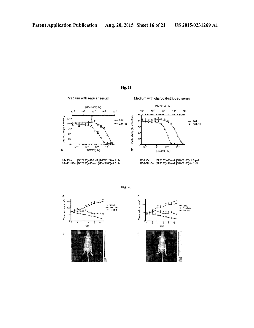 DELIVERY OF THERAPEUTIC COMPOUNDS WITH IRON OXIDE NANOPARTICLES - diagram, schematic, and image 17