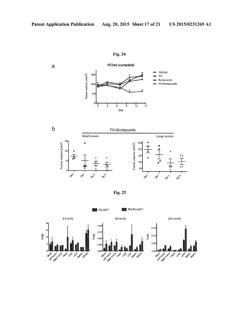 DELIVERY OF THERAPEUTIC COMPOUNDS WITH IRON OXIDE NANOPARTICLES - diagram, schematic, and image 18