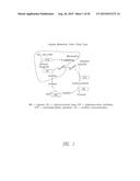 METHODS OF TREATMENT WITH ARGININE DEIMINASE diagram and image