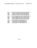 THYMIDINE KINASE diagram and image