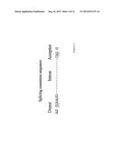 THYMIDINE KINASE diagram and image