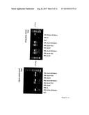 THYMIDINE KINASE diagram and image