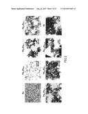 CATALYST USING Pd-Ru SOLID SOLUTION ALLOY FINE PARTICLES diagram and image