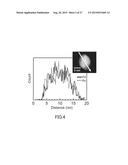 CATALYST USING Pd-Ru SOLID SOLUTION ALLOY FINE PARTICLES diagram and image