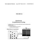 INTEGRATED SAMPLE PREPARATION SYSTEMS AND STABILIZED ENZYME MIXTURES diagram and image