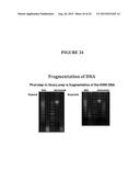 INTEGRATED SAMPLE PREPARATION SYSTEMS AND STABILIZED ENZYME MIXTURES diagram and image