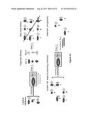 STAT3 INHIBITORS AND THEIR ANTICANCER USE diagram and image