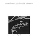 STAT3 INHIBITORS AND THEIR ANTICANCER USE diagram and image