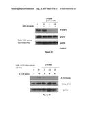 STAT3 INHIBITORS AND THEIR ANTICANCER USE diagram and image