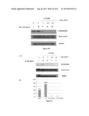 STAT3 INHIBITORS AND THEIR ANTICANCER USE diagram and image