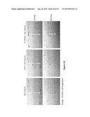 STAT3 INHIBITORS AND THEIR ANTICANCER USE diagram and image