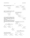 THERAPEUTIC HYDROXYPYRIDINONES, HYDROXYPYRIMIDINONES AND     HYDROXYPYRIDAZINONES diagram and image