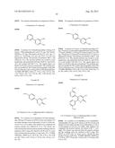 THERAPEUTIC HYDROXYPYRIDINONES, HYDROXYPYRIMIDINONES AND     HYDROXYPYRIDAZINONES diagram and image