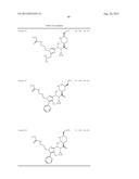 NOVEL RENIN INHIBITOR diagram and image