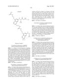 NOVEL RENIN INHIBITOR diagram and image