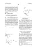 NOVEL RENIN INHIBITOR diagram and image