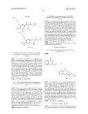 NOVEL RENIN INHIBITOR diagram and image