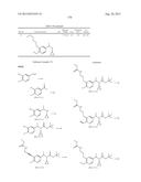 NOVEL RENIN INHIBITOR diagram and image