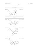 NOVEL RENIN INHIBITOR diagram and image