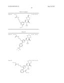 NOVEL RENIN INHIBITOR diagram and image