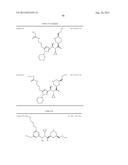 NOVEL RENIN INHIBITOR diagram and image