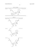 NOVEL RENIN INHIBITOR diagram and image