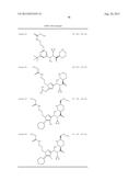 NOVEL RENIN INHIBITOR diagram and image