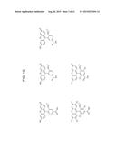 REAGENTS USEFUL FOR SYNTHESIZING RHODAMINE-LABELED OLIGONUCLEOTIDES diagram and image