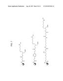 REAGENTS USEFUL FOR SYNTHESIZING RHODAMINE-LABELED OLIGONUCLEOTIDES diagram and image