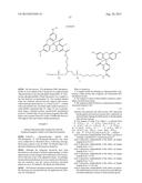 REAGENTS USEFUL FOR SYNTHESIZING RHODAMINE-LABELED OLIGONUCLEOTIDES diagram and image