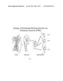 Flagellin Fusion Proteins diagram and image