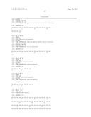 ANTI-TUMOUR RESPONSE TO MODIFIED SELF-EPITOPES diagram and image