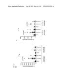 ANTI-TUMOUR RESPONSE TO MODIFIED SELF-EPITOPES diagram and image