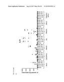 ANTI-TUMOUR RESPONSE TO MODIFIED SELF-EPITOPES diagram and image