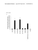 ANTI-TUMOUR RESPONSE TO MODIFIED SELF-EPITOPES diagram and image