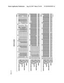 ANTI-TUMOUR RESPONSE TO MODIFIED SELF-EPITOPES diagram and image