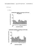 ANTI-TUMOUR RESPONSE TO MODIFIED SELF-EPITOPES diagram and image